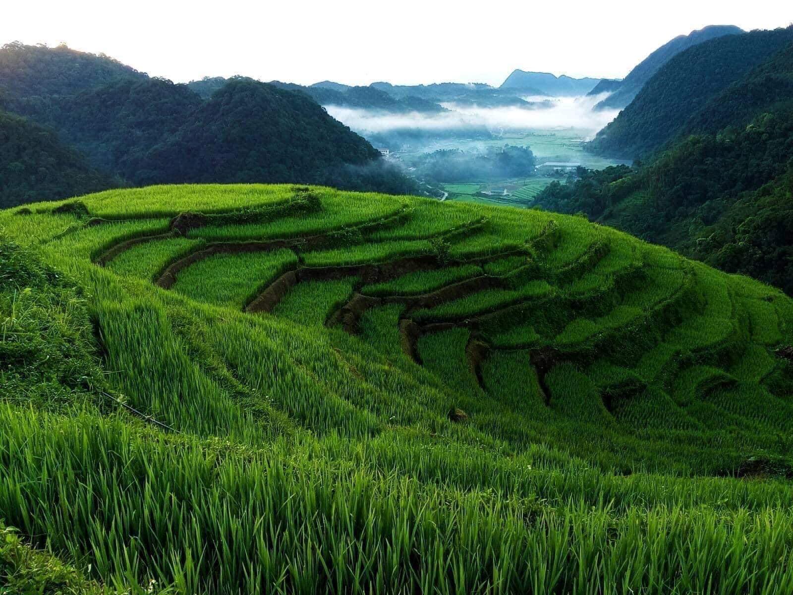 Lung Van, Van Son, Tan Lac, Hoa Binh